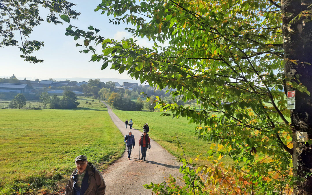 Wallfahrt zum Schönenberg