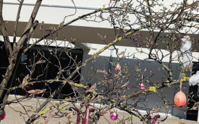 Osteraktion der KITAS